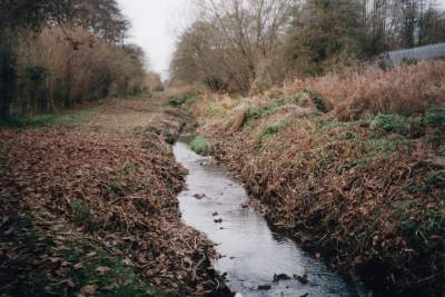 pic2